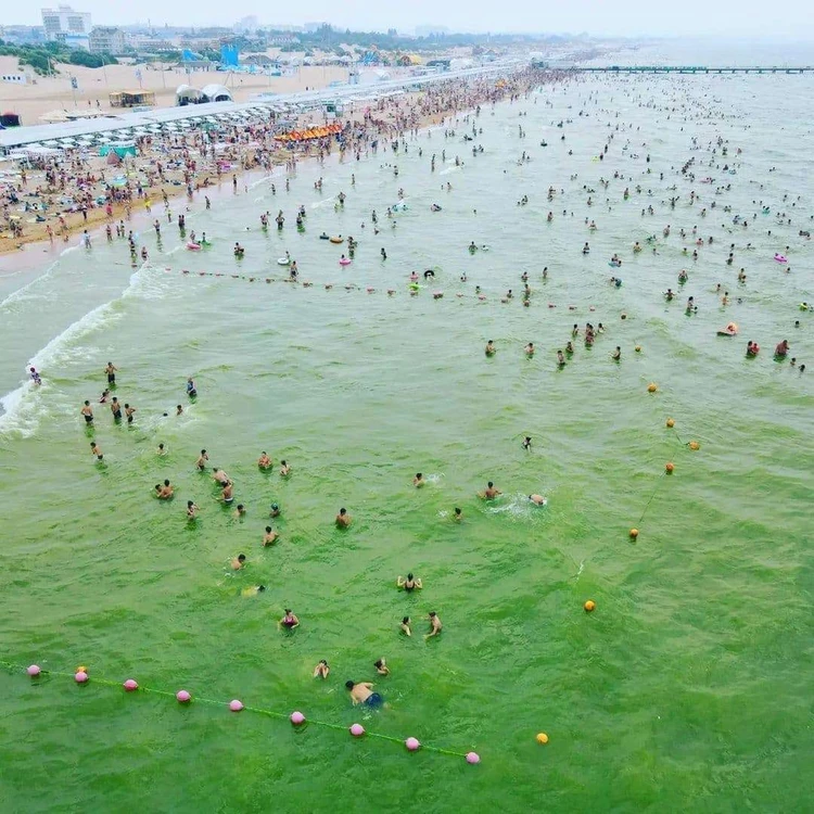 Пляжный отдых на Чёрном море: как выбрать курорт