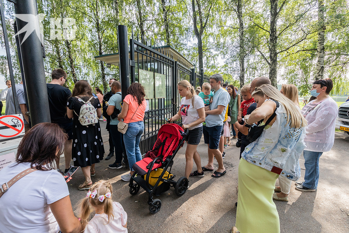 Очереди на входе. На самом деле, все стоят и покупают билеты, на территорию попадаешь за минуту.