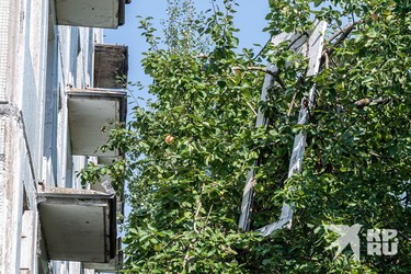 Пятиэтажка военного городка. Яблонька. Дверь.