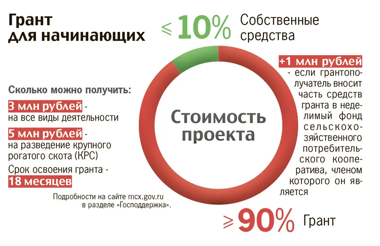 Грант начинающий. Бизнес план для начинающего фермера.