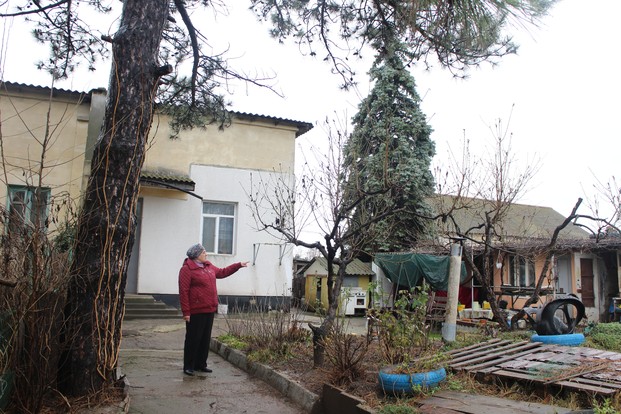 Сосны и ели посадили возле гостевого дома Брежнева.