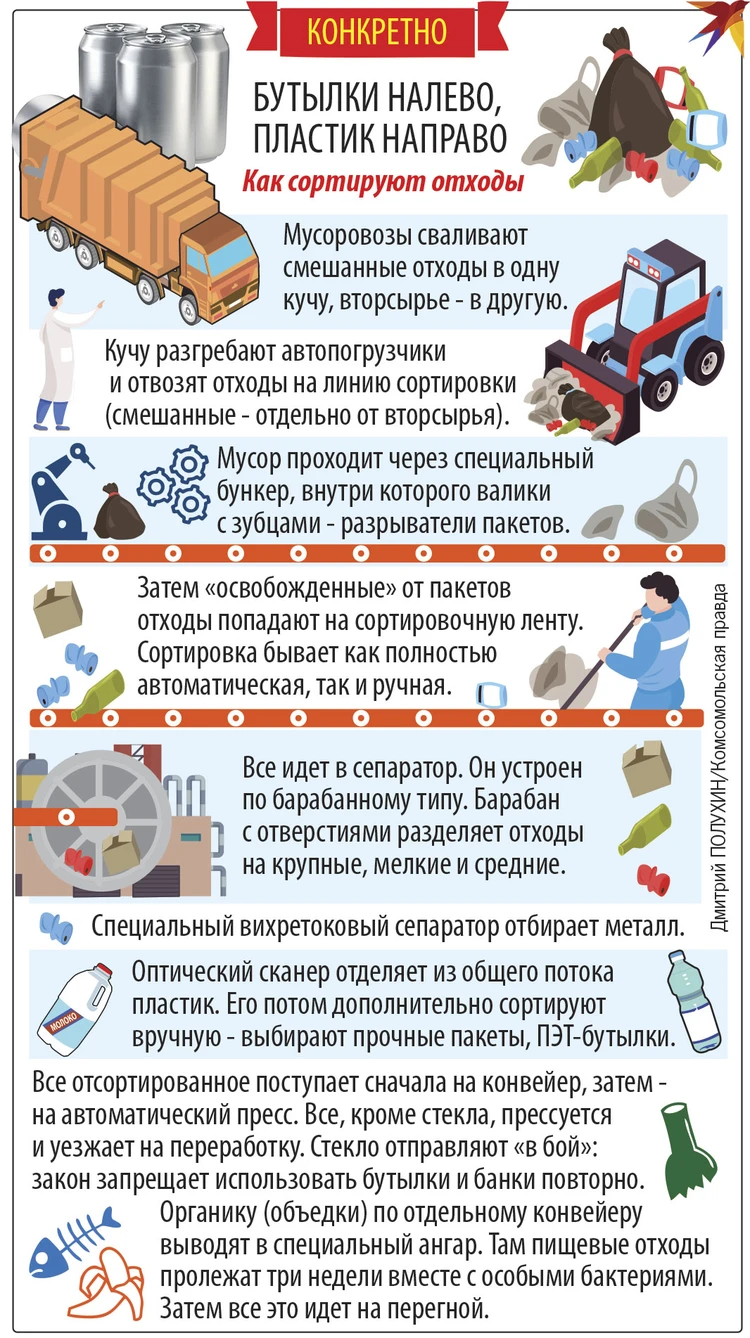 Мусорная проформа, или Почему в России так и не научились сортировать  отходы - KP.RU