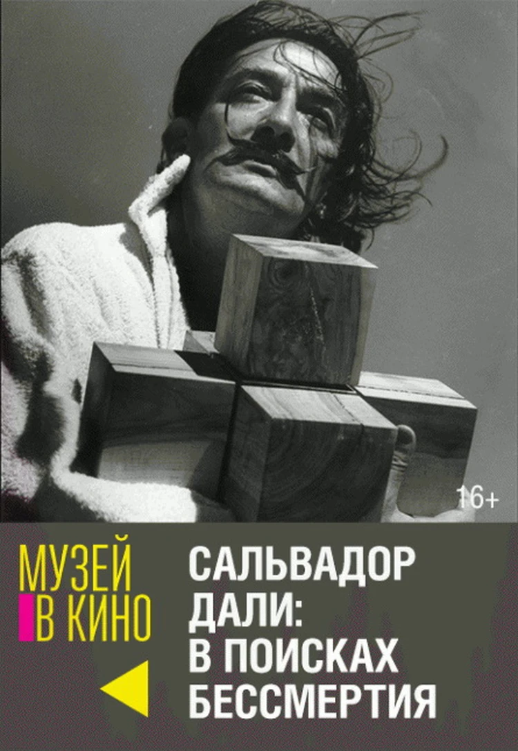 Майские праздники в Воронеже: концерты в парках, петровские выставки,  премьера в драме - KP.RU