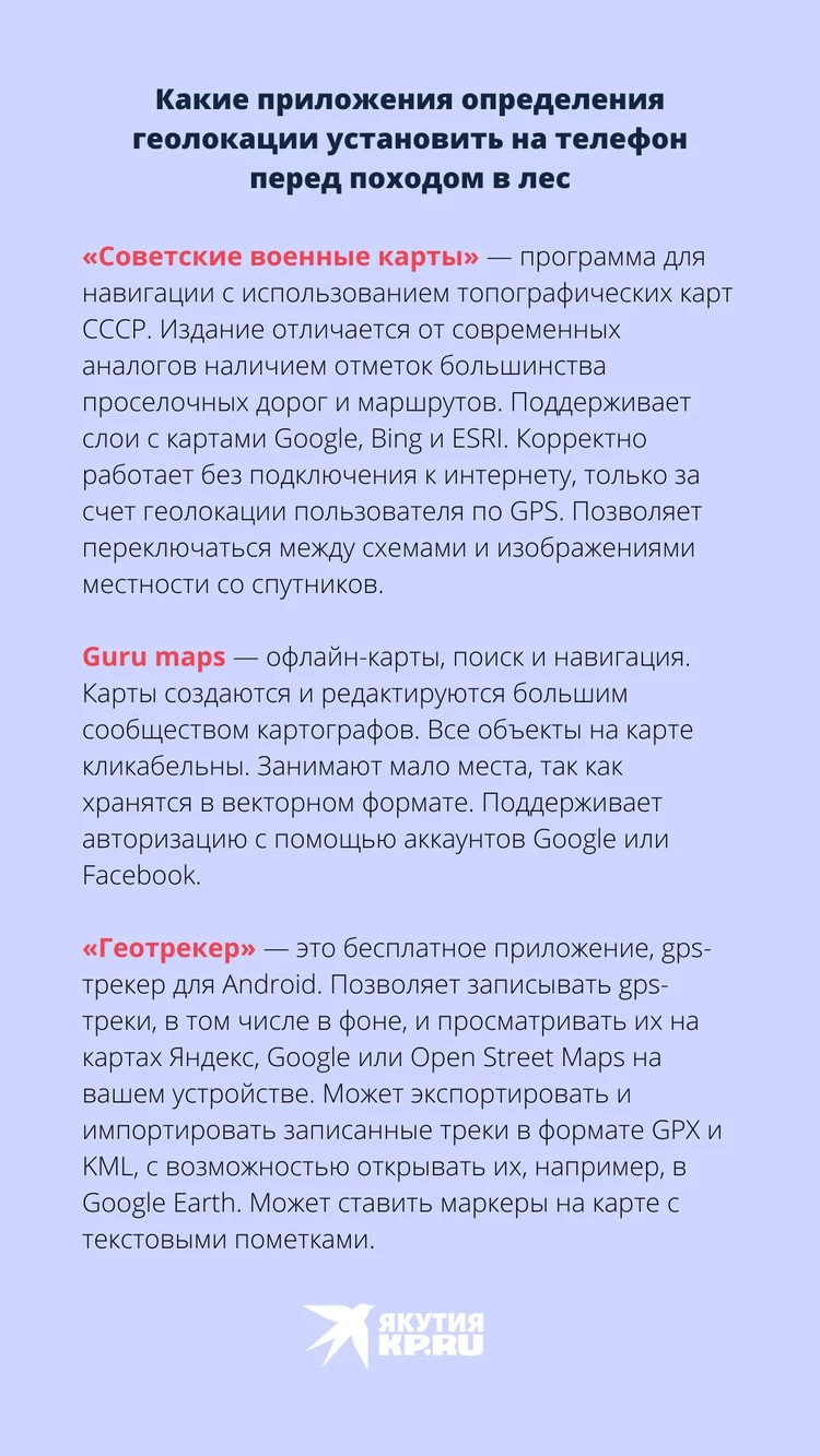 Как не заблудиться в лесу: какие приложения скачать на телефон, советы  спасателей, геокарты, геолокация, правила поведения в лесу - KP.RU