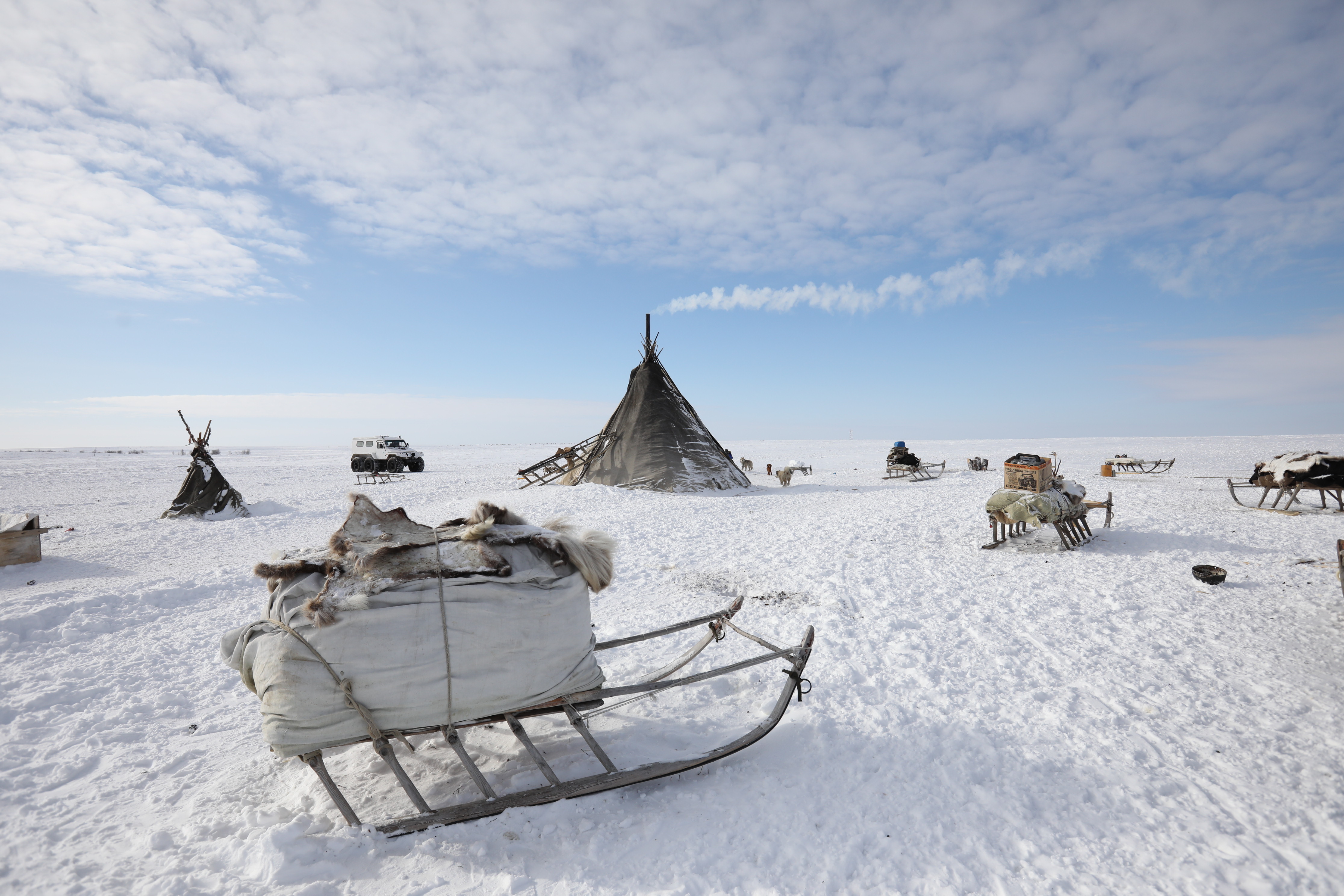 Фото: Роман ШАЛЕНКИН