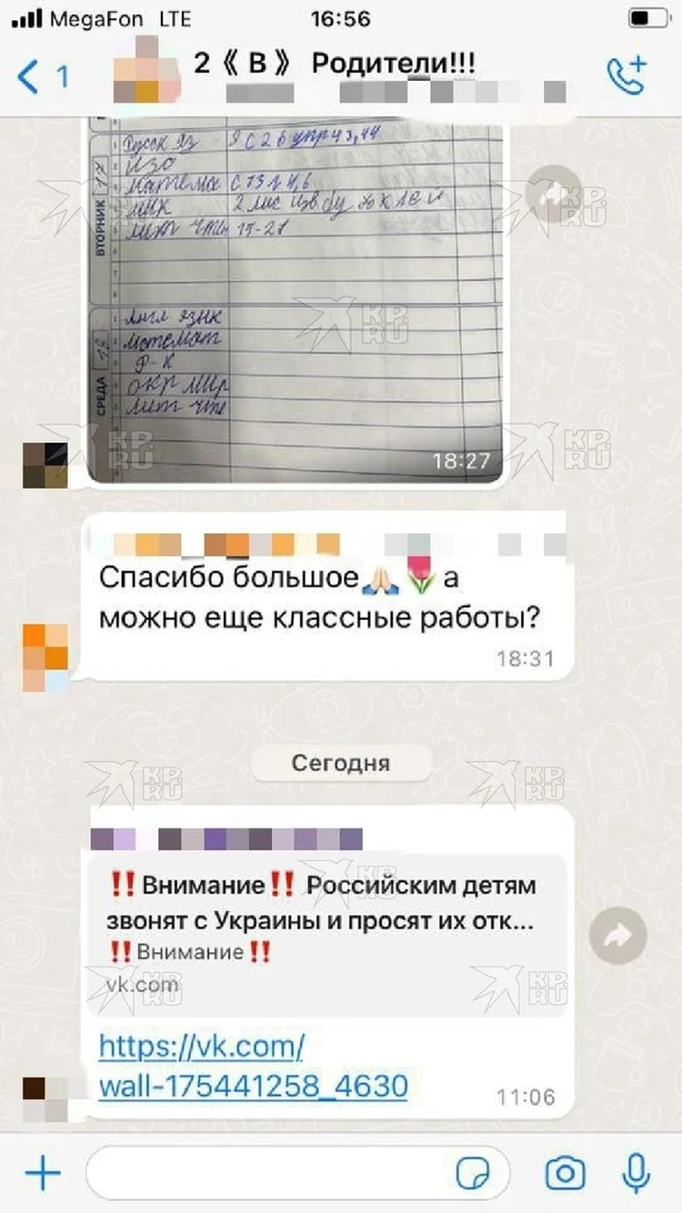 Сообщения в родительских чатах Свердловской области о звонках детям с  Украины оказались фейком - KP.RU