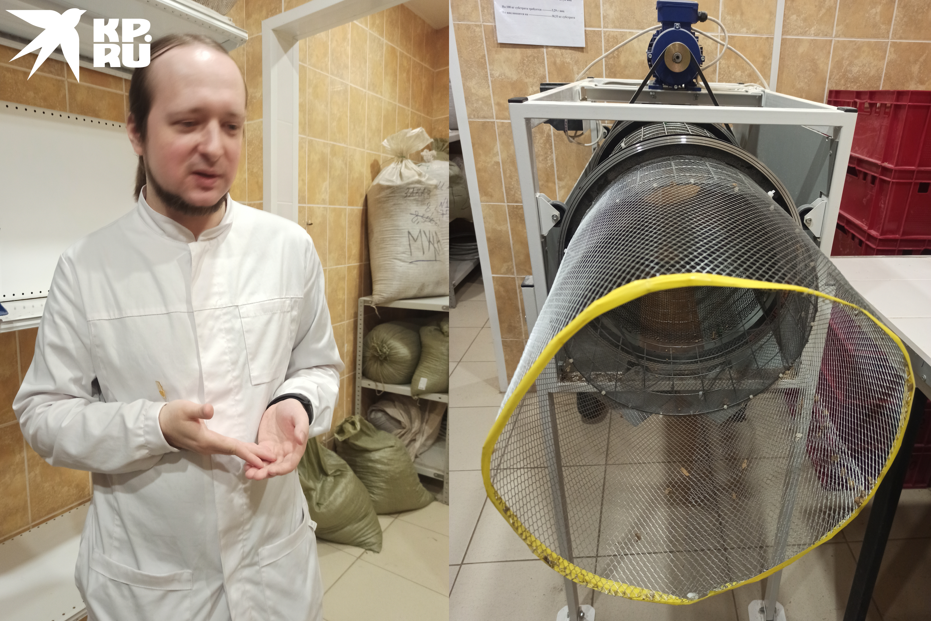 Speciální instalace odděluje skořápky od červů