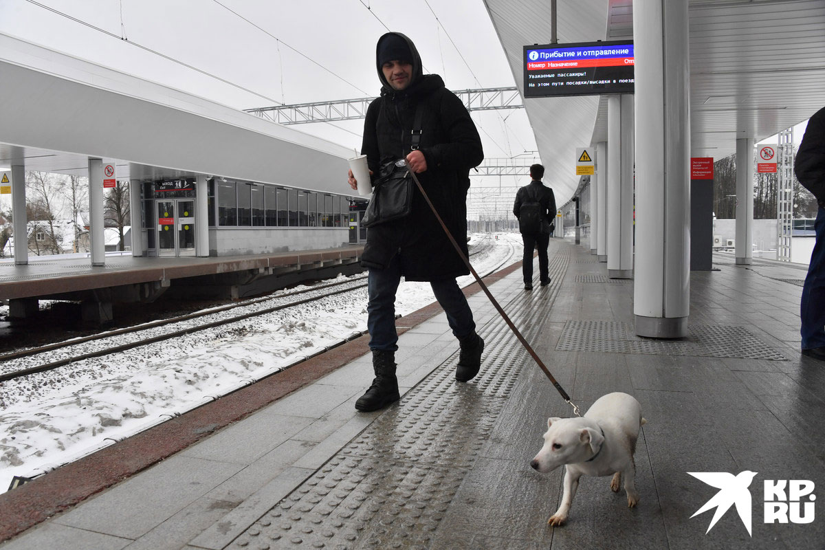 Работы по созданию наземного метро МЦД-4 выходят на финишную прямую.