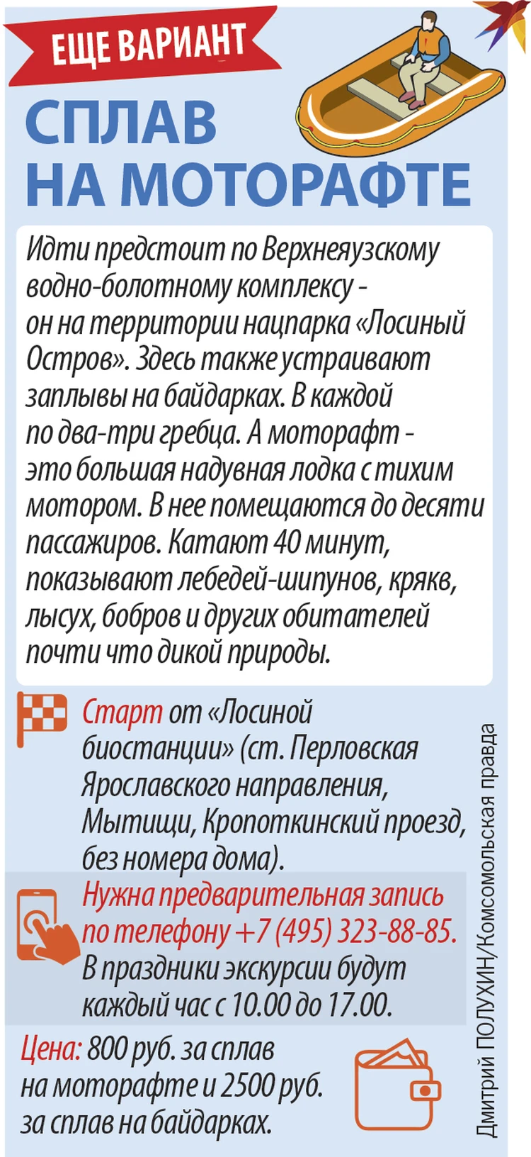 Как ярко и красочно провести праздничные дни в Москве: Инструкция по  применению - KP.RU