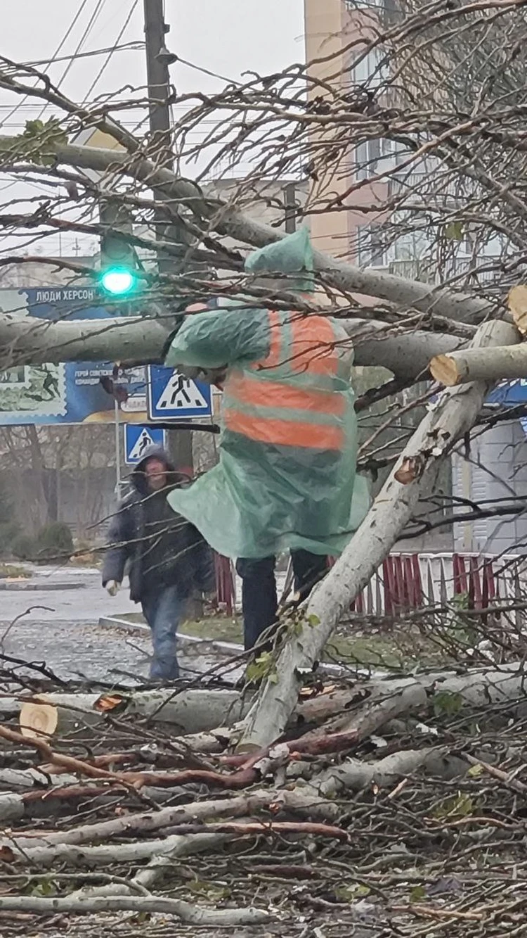 Всех просят оставаться дома, сохраняется высокий риск падения деревьев: Как  Херсонская область справляется с последствиями мощнейшего урагана 19 ноября  2023 - KP.RU