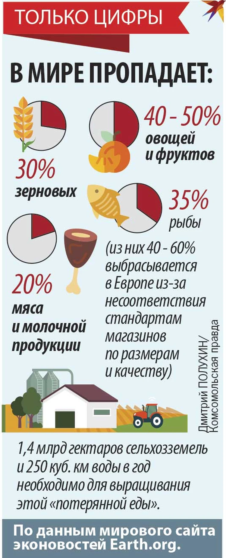 Треть произведенной в России еды оказывается на свалке: можно ли с этим  что-то сделать? - KP.RU