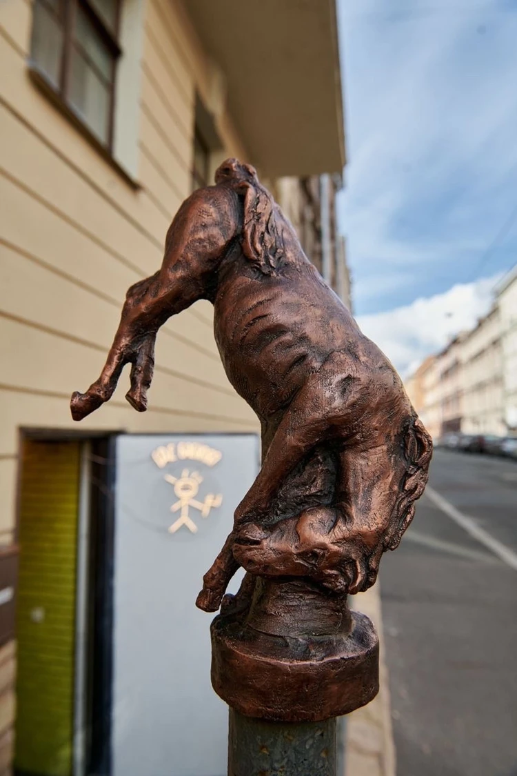 Памятная табличка может появиться на доме старухи-процентщицы в Петербурге  - KP.RU