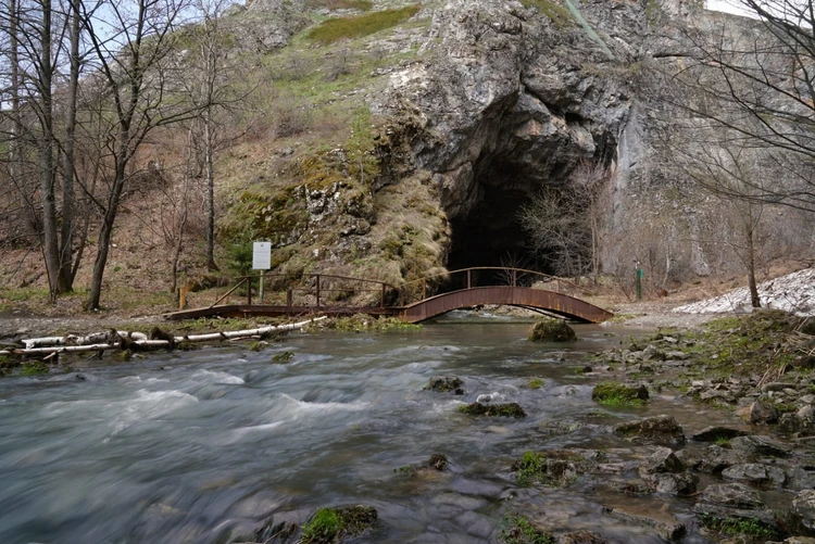 Сейчас пещера Шульган-Таш (Капова) закрыта для свободного посещения, но рядом есть музей с точной ее копией. Фото: пресс-служба главы РБ