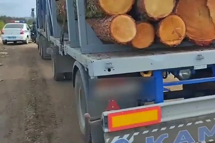 Мальчик попал под заднее колесо груженного лесом прицепа. Фото: ГИБДД по РБ