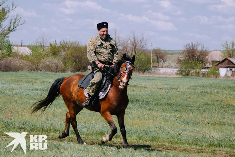 «Еврей» объезжает лошадь Липу