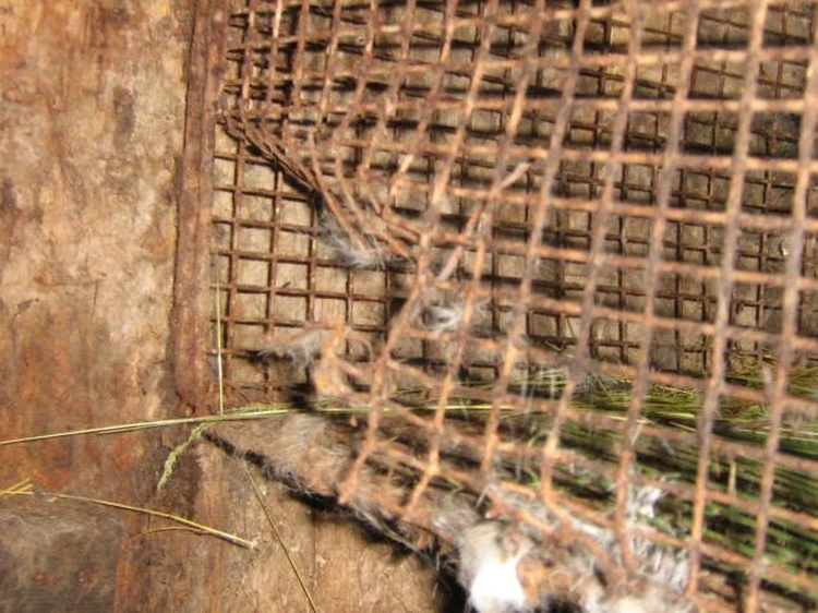 Қалың әтеш жұлдыру онлайн