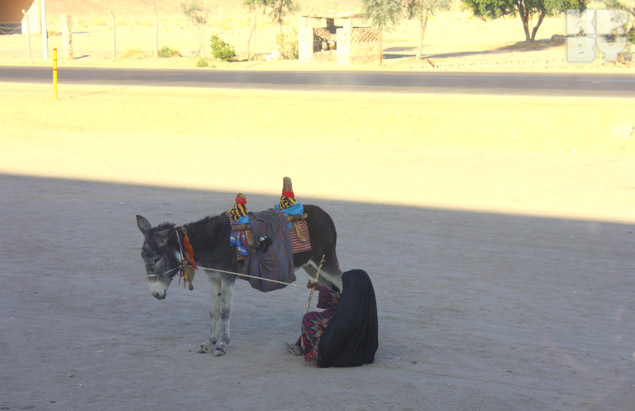 Бедуины — беднейшая часть населения. Но на судьбу не жалуются.