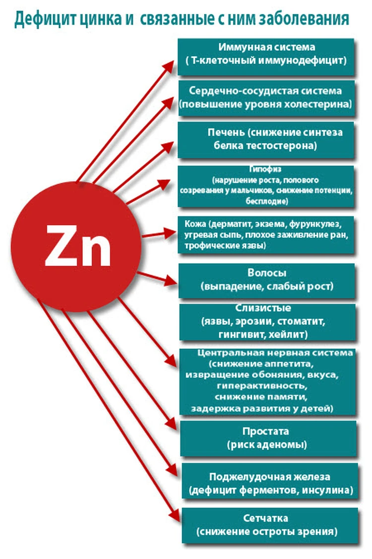 Вы точно человек?