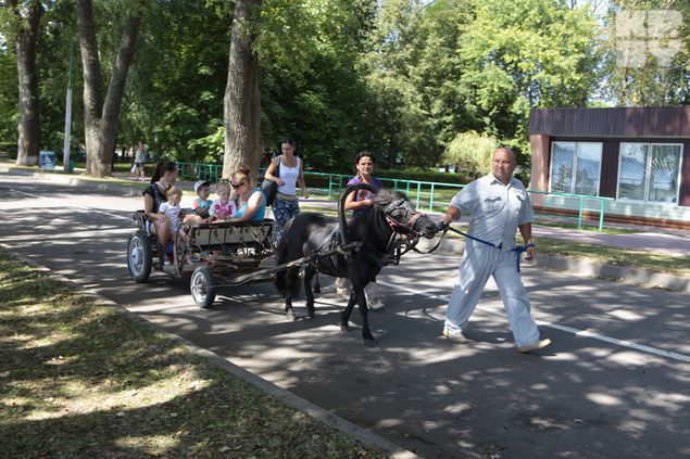 Курортный поселок Нарочь.