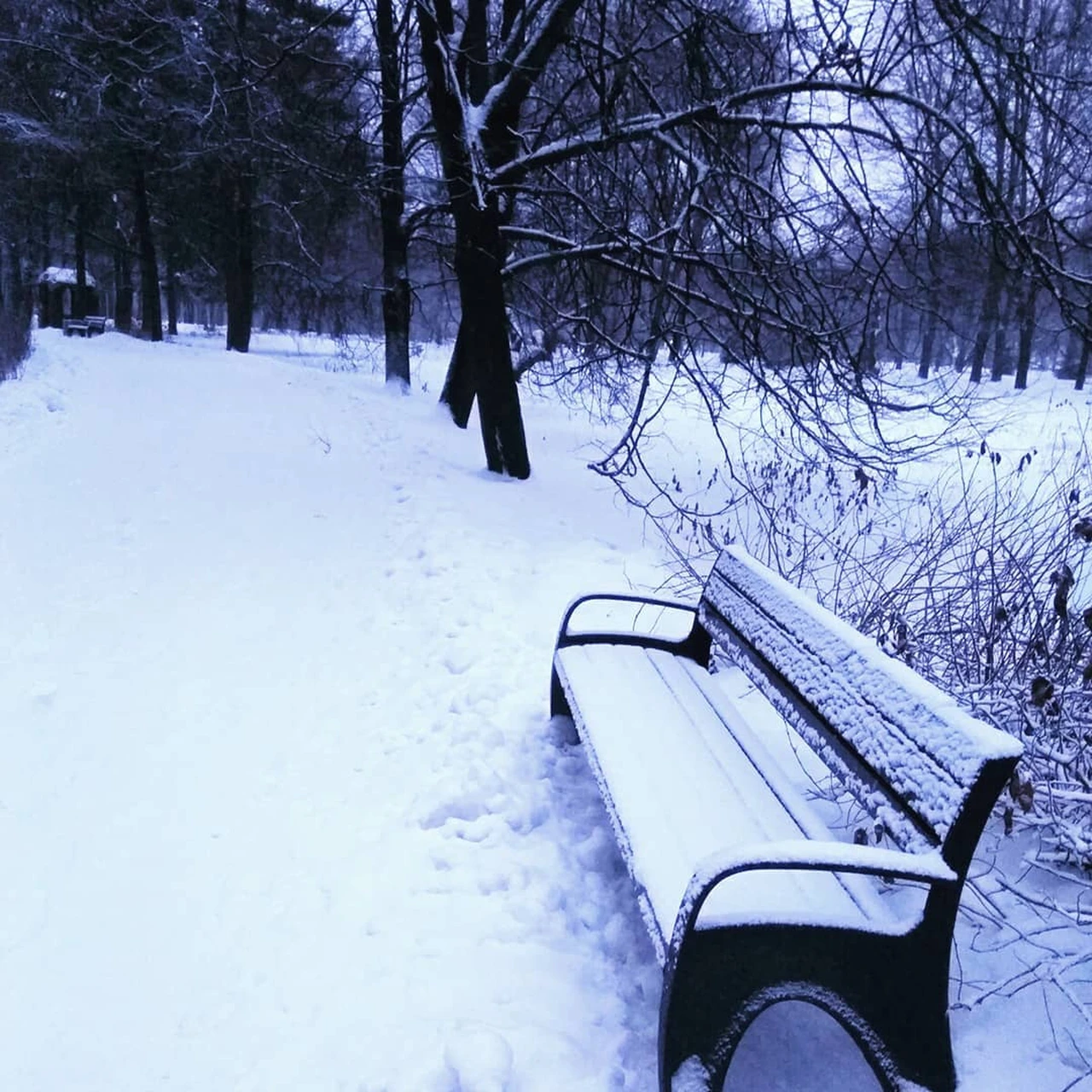 Москвичи радуются снегопаду: 